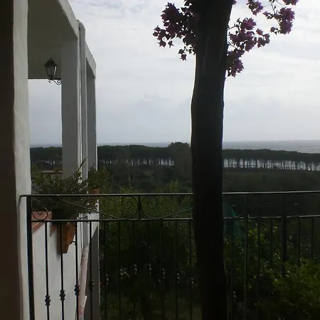 Giardino Apartamento